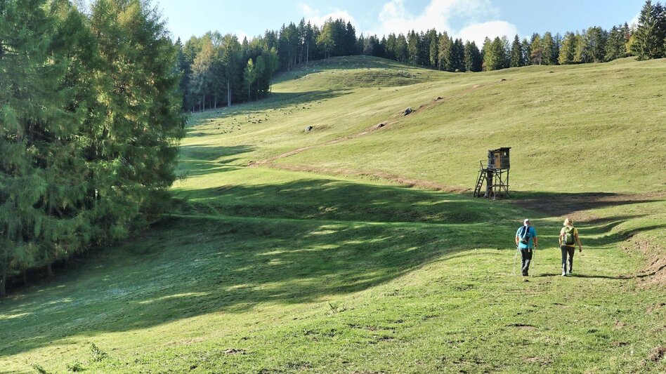 Hiking route Gerschkogel - Touren-Impression #2.16 | © Weges OG