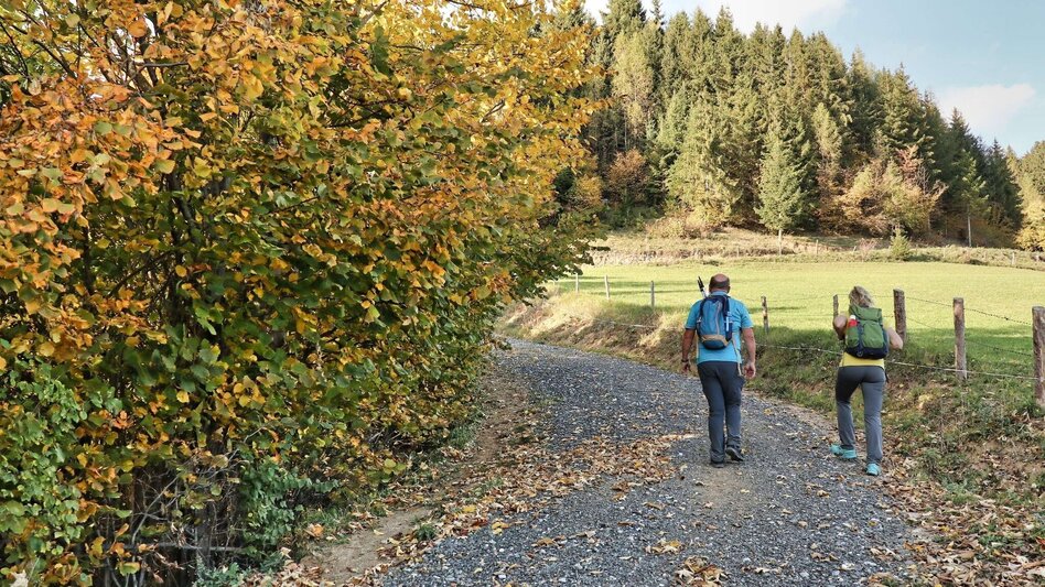 Hiking route Rauchstubenweg St. Georgen ob Judenburg - Touren-Impression #2.1 | © Weges OG
