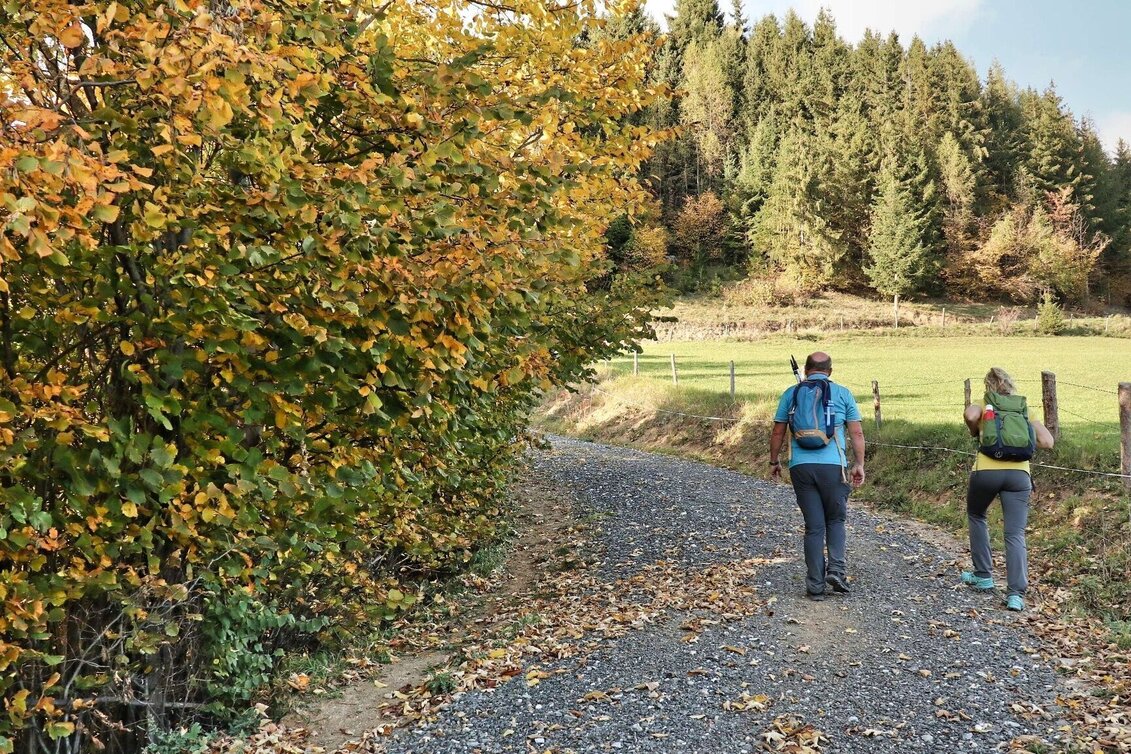 Hiking route Rauchstubenweg St. Georgen ob Judenburg - Touren-Impression #1 | © Weges OG