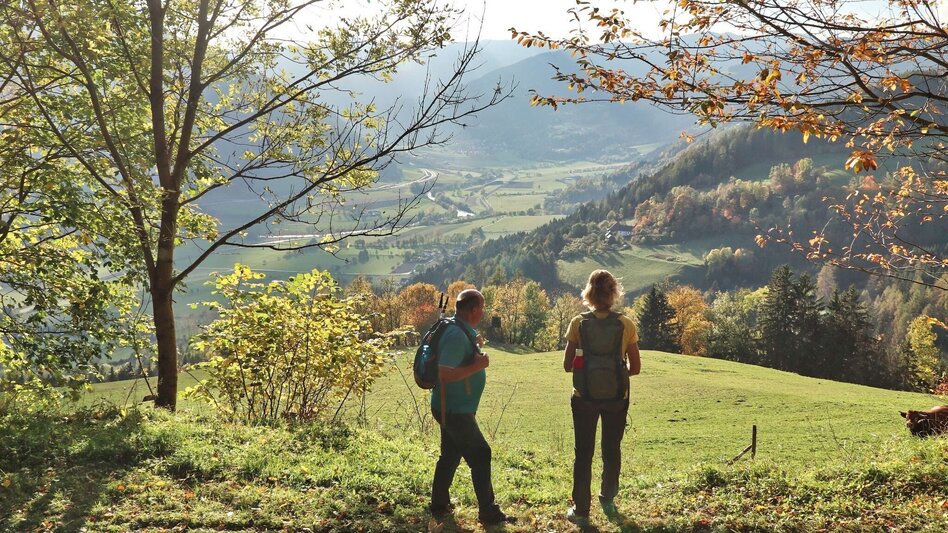Hiking route Rauchstubenweg St. Georgen ob Judenburg - Touren-Impression #2.8 | © Weges OG