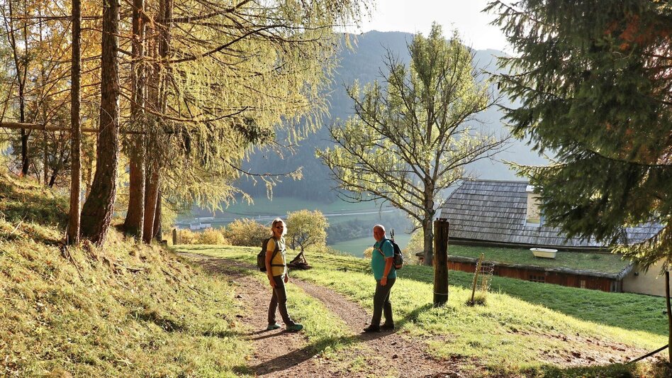 Hiking route Rauchstubenweg St. Georgen ob Judenburg - Touren-Impression #2.9 | © Weges OG