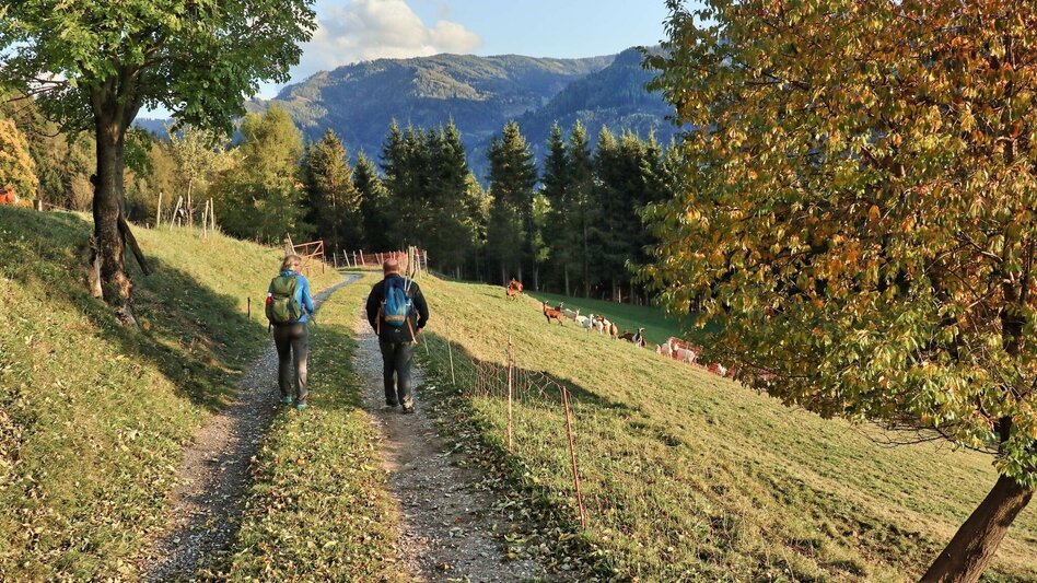 Hiking route Rauchstubenweg St. Georgen ob Judenburg - Touren-Impression #2.13 | © Weges OG
