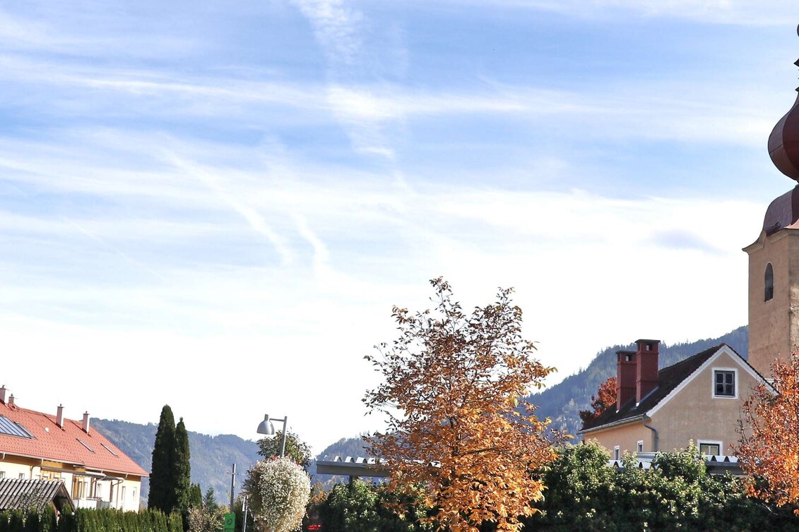 Wasserwege Mur-Auenweg nach Wöll - Touren-Impression #1 | © Weges OG