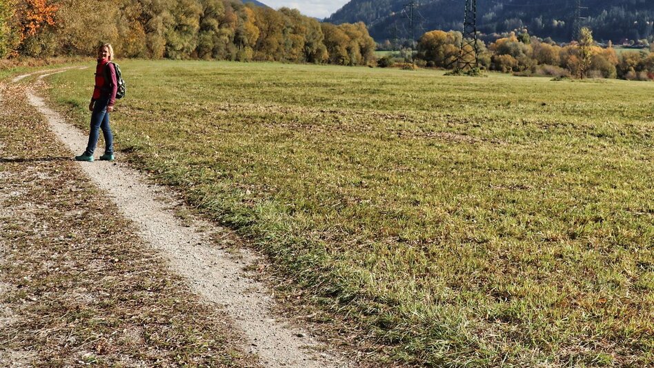 Wasserwege Mur-Auenweg nach Wöll - Touren-Impression #2.5 | © Weges OG
