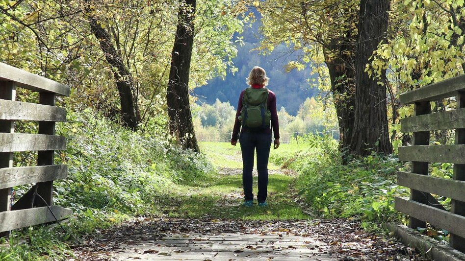 Wasserwege Mur-Auenweg nach Wöll - Touren-Impression #2.6 | © Weges OG