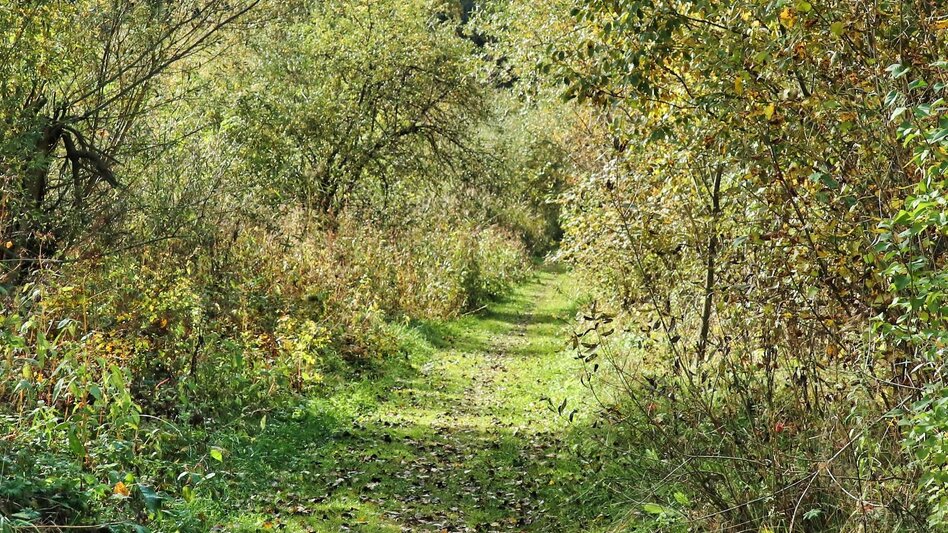 Wasserwege Mur-Auenweg nach Wöll - Touren-Impression #2.12 | © Weges OG