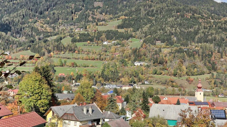 Wasserwege Mur-Auenrunde über Edling - Touren-Impression #2.8 | © Weges OG
