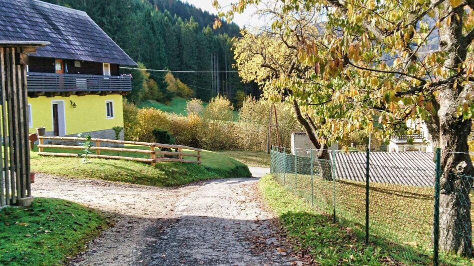 Wasserwege Mur-Auenrunde über Edling - Touren-Impression #2.9 | © Weges OG