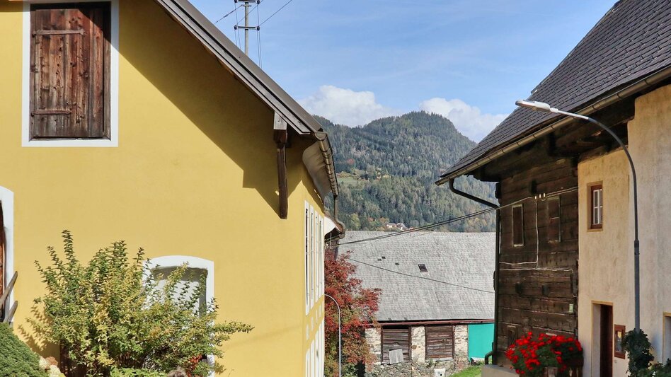 Wasserwege Mur-Auenrunde über Edling - Touren-Impression #2.10 | © Weges OG