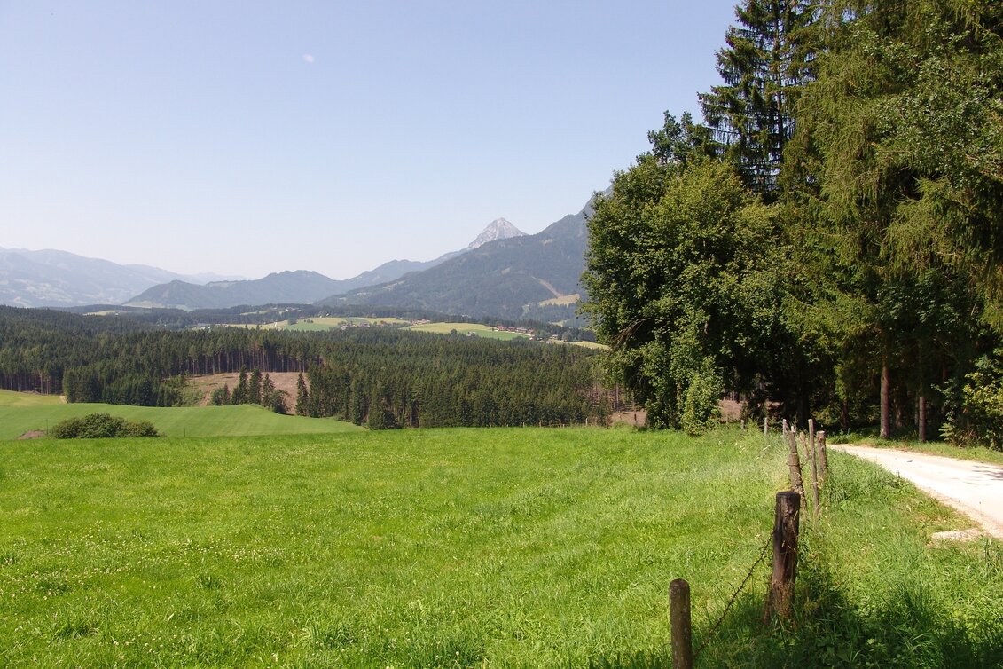 Nordic Walking Bewegungsarena - Lengdorf Waldrunde (SM 1) - Touren-Impression #1 | © Erlebnisregion Schladming-Dachstein