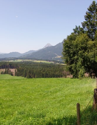 bewegungsarena - lengdorf waldrunde (sm 1)_img_58222536 | Schladming Dachstein - TVB Gröbminger Land | © Erlebnisregion Schladming-Dachstein