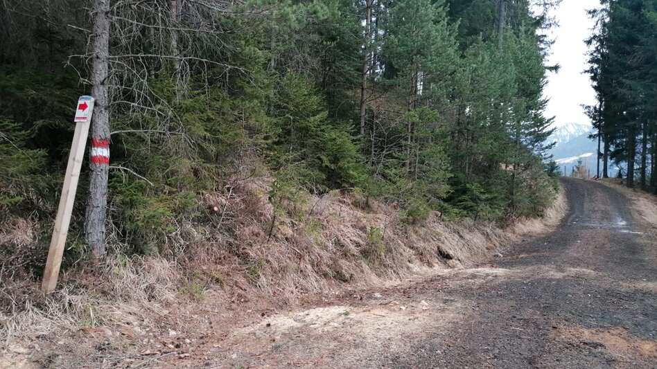 Nordic Walking Bewegungsarena -  Prenten Höhenweg (SM 2) - Touren-Impression #2.1 | © Erlebnisregion Schladming-Dachstein