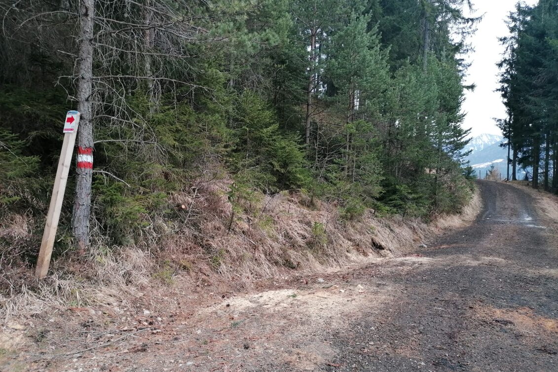 Nordic Walking Bewegungsarena -  Prenten Höhenweg (SM 2) - Touren-Impression #1 | © Erlebnisregion Schladming-Dachstein