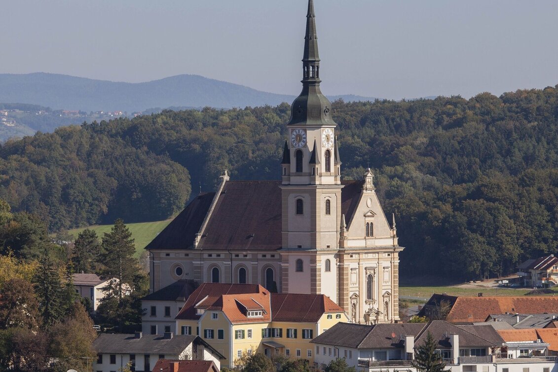 Hiking route Organ Hiking: Stage Pischelsdorf- Kulm - Touren-Impression #1 | © Oststeiermark Tourismus