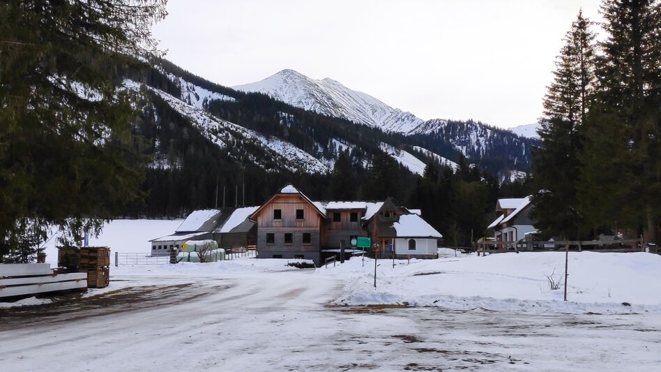 Ski Touring Gamskögel, the demanding tour in the Hintertriebental - Touren-Impression #2.2 | © WEGES OG