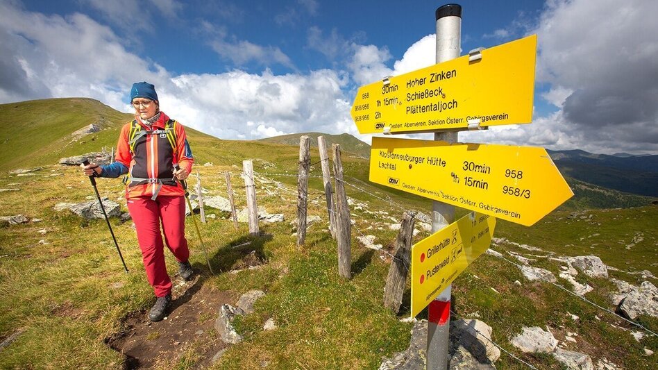 Hiking route Die drei Zinken on the Tanzstattalpe  Hoher-, Kleiner- und Niederer Zinken - Touren-Impression #2.2 | © Erlebnisregion Murtal