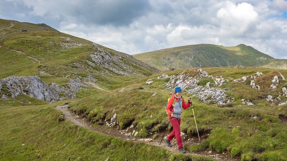 Hiking route Die drei Zinken on the Tanzstattalpe  Hoher-, Kleiner- und Niederer Zinken - Touren-Impression #2.6 | © Erlebnisregion Murtal