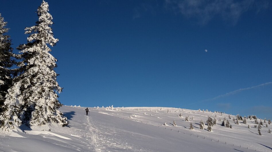Ski Touring From Rettenegg to the Stuhleck, Rettenegg - Touren-Impression #2.1 | © Unbekannt