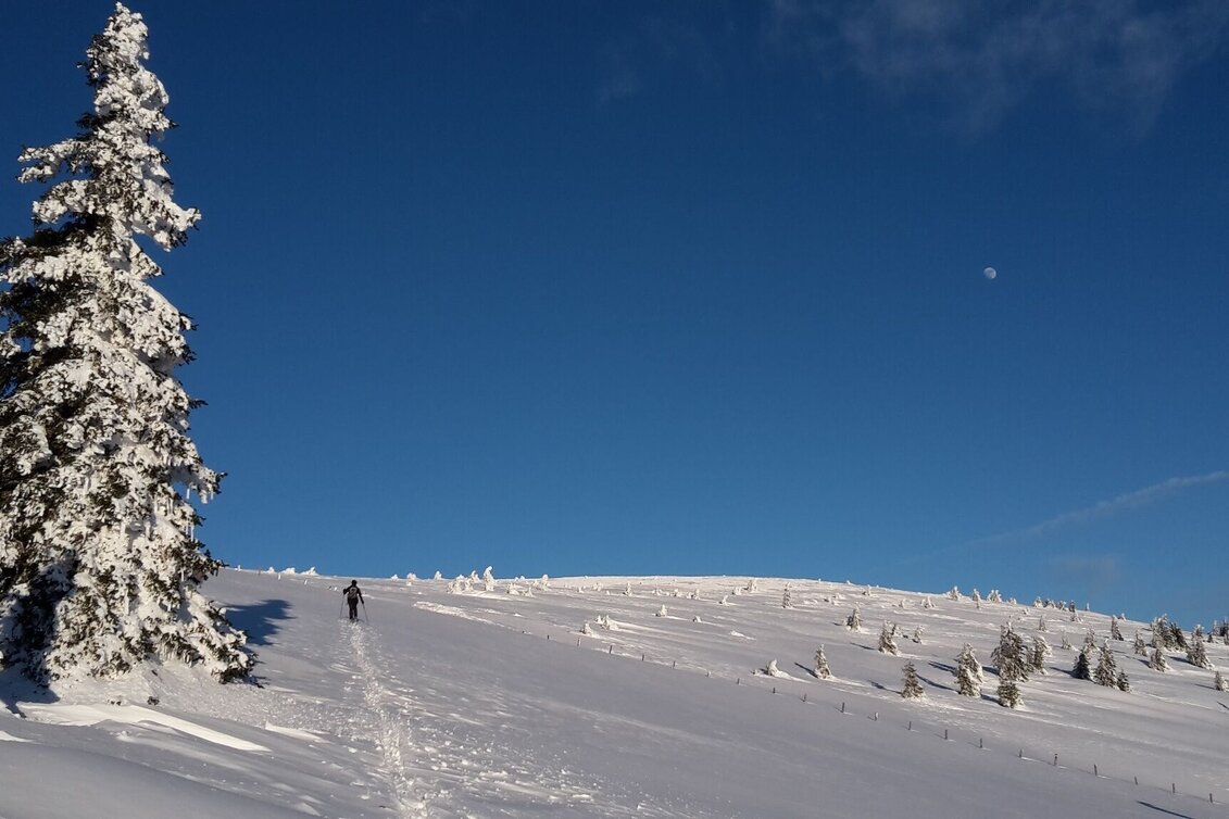 Ski Touring From Rettenegg to the Stuhleck, Rettenegg - Touren-Impression #1 | © Unbekannt