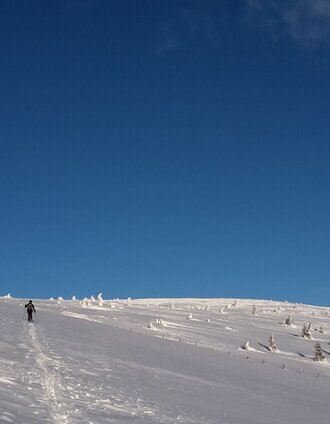 Ski tour to the Stuhleck, Joglland forest home in Eastern Styria | Siegfried Gesslbauer | © Unbekannt