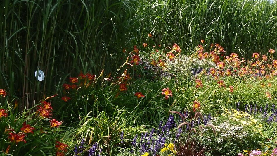 Wanderung Orgelwandern: Etappe Pöllauberg - St. Anna - Touren-Impression #2.8 | © Oststeiermark Tourismus