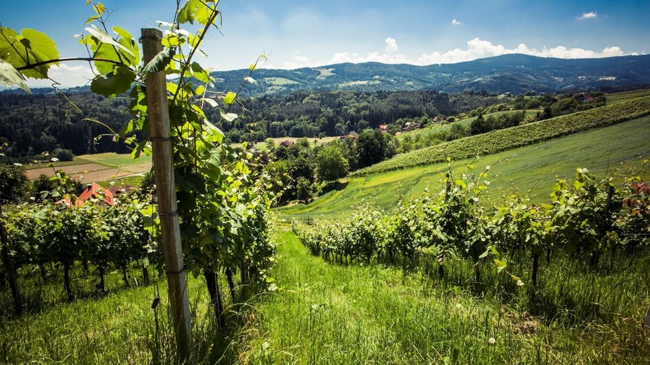 St. Stefan ob Stainz - Impression #2.3 | © TVB Südsteiermark/Lupi Spuma