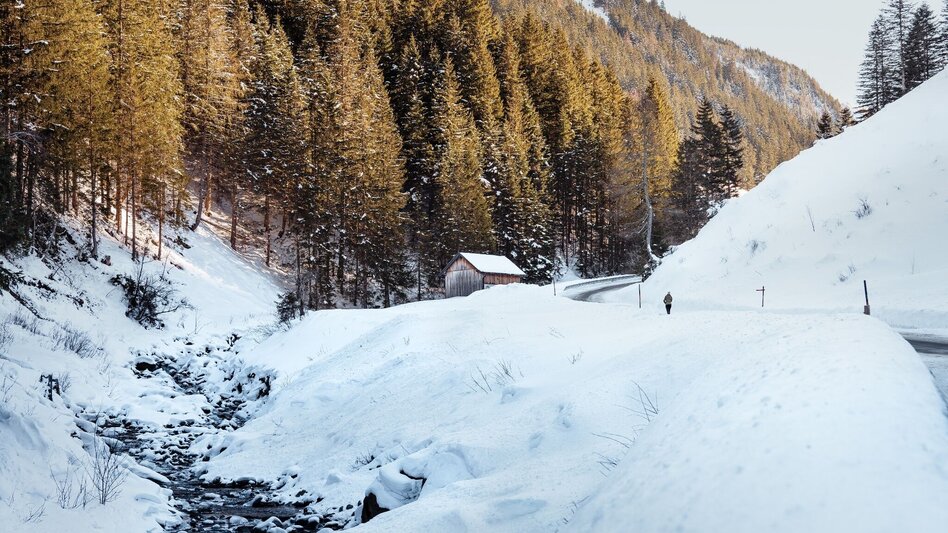Winter Hiking Hike to the Hansenalm - Touren-Impression #2.4 | © Erlebnisregion Schladming-Dachstein