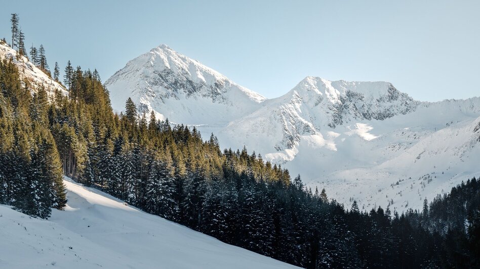 Winter Hiking Hike to the Hansenalm - Touren-Impression #2.7 | © Erlebnisregion Schladming-Dachstein