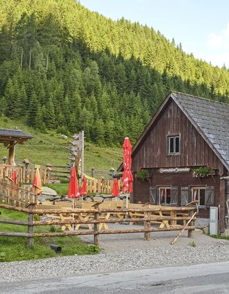 wanderung zur hansenalm_img_97373446 | Heidi Grundner | © Erlebnisregion Schladming-Dachstein