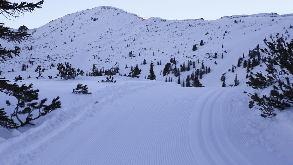 Langlauf Skating Höhenloipe Planneralm - Touren-Impression #2.1 | © Erlebnisregion Schladming-Dachstein
