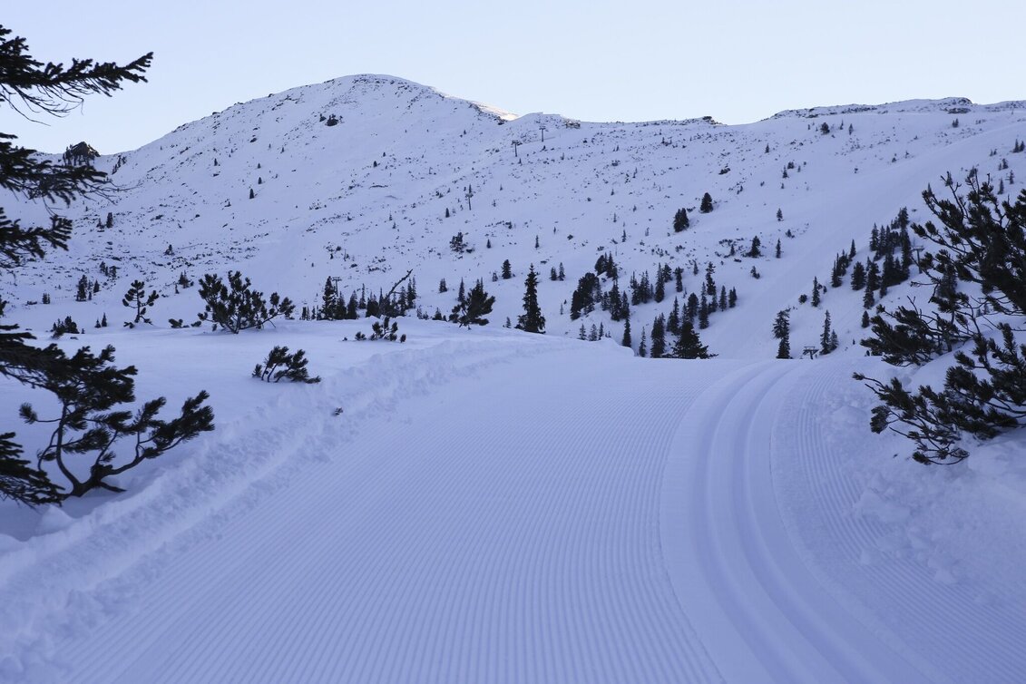 Langlauf Skating Höhenloipe Planneralm - Touren-Impression #1 | © Erlebnisregion Schladming-Dachstein