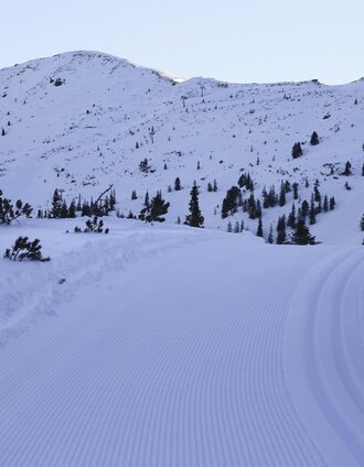 Planneralm Höhenloipe ganz frisch am Morgen. | Roland Gutwenger | © Erlebnisregion Schladming-Dachstein