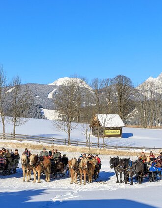 horse-drawn-sleighs at the trail head for snowshoeing & horse-drawn-sleigh rides in Rohrmoos | Martin Huber | © Tourismusverband Schladming - Martin Huber