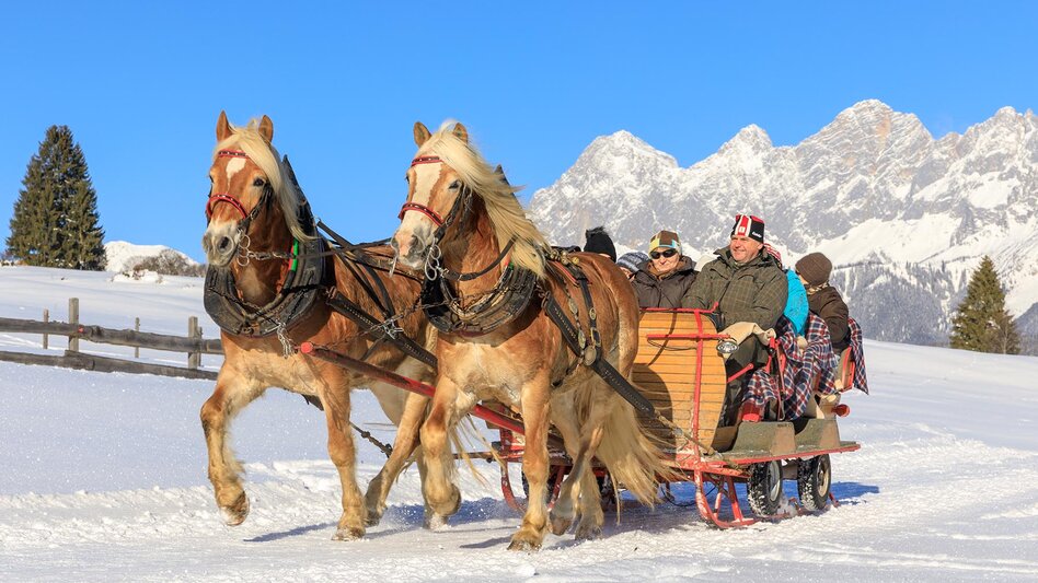 Horse Carriage Ride Rohrmoos Homestead Tour - Touren-Impression #2.3 | © Tourismusverband Schladming - Martin Huber