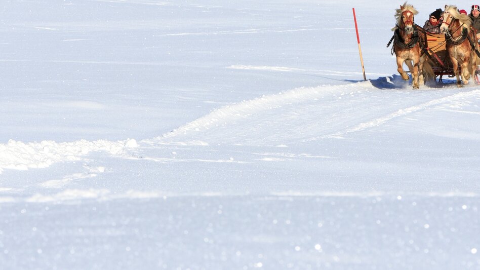 Horse Carriage Ride Rohrmoos Homestead Tour - Touren-Impression #2.4 | © Erlebnisregion Schladming-Dachstein