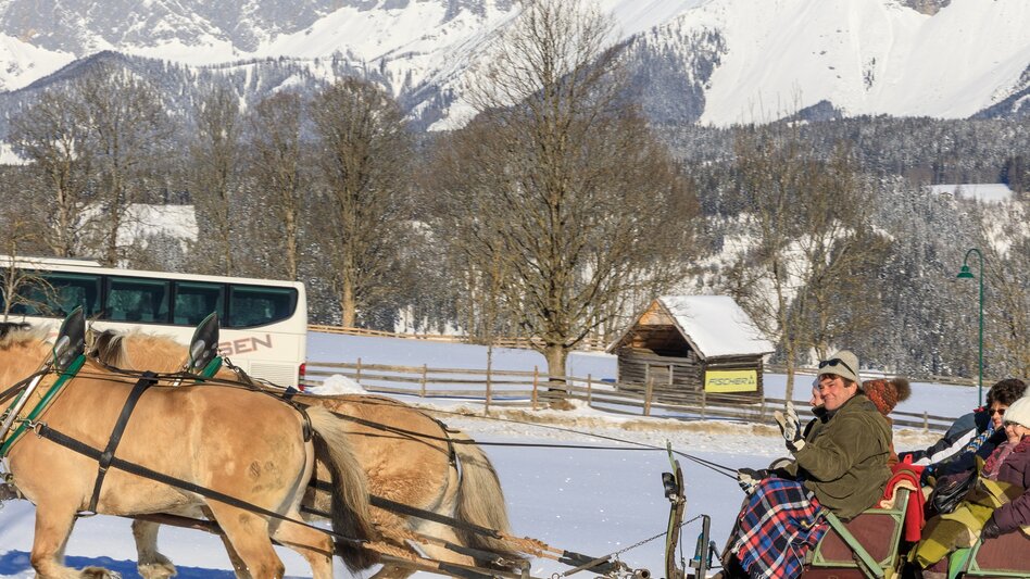 Horse Carriage Ride Rohrmoos Homestead Tour - Touren-Impression #2.5 | © Erlebnisregion Schladming-Dachstein
