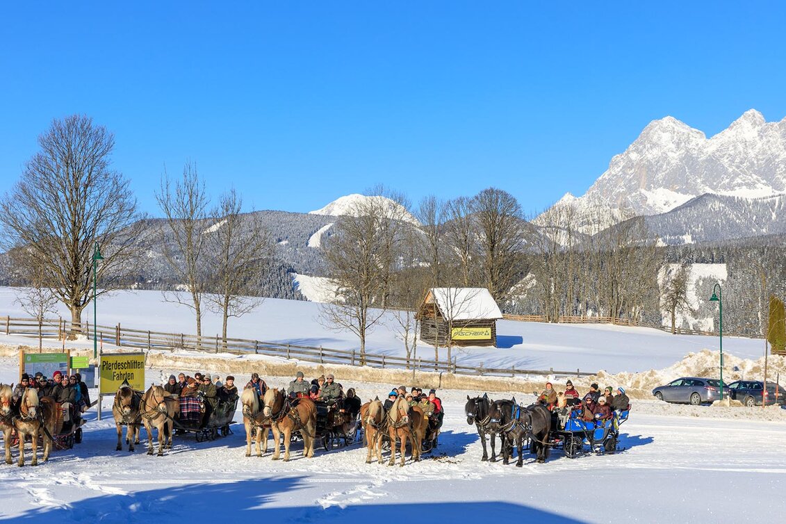 Horse Carriage Ride Sleigh ride to Untertal valley - Touren-Impression #1 | © Tourismusverband Schladming - Martin Huber