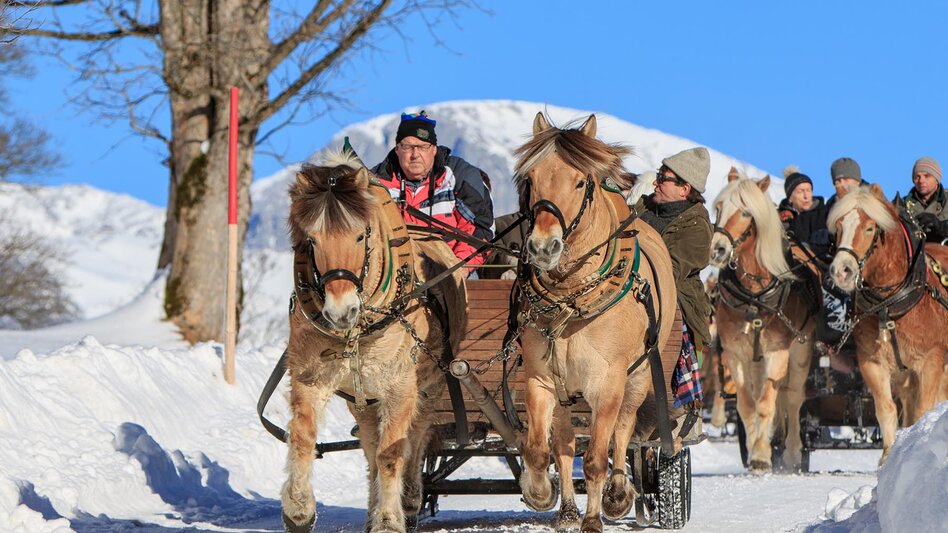 Horse Carriage Ride Sleigh ride to Untertal valley - Touren-Impression #2.3 | © Tourismusverband Schladming - Martin Huber