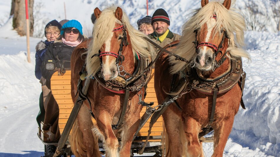 Horse Carriage Ride Sleigh ride to Untertal valley - Touren-Impression #2.4 | © Tourismusverband Schladming