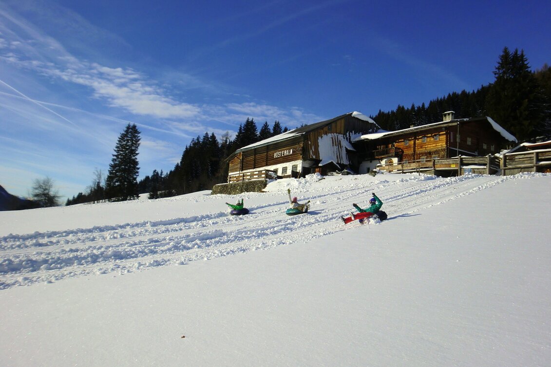 Horse Carriage Ride Sleigh ride Oberhorner-Halseralm - Touren-Impression #1 | © Stoanerhof