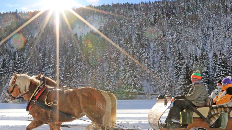 Horse Carriage Ride Sleigh ride Oberhorner-Halseralm - Touren-Impression #2.2 | © TVB Schladming