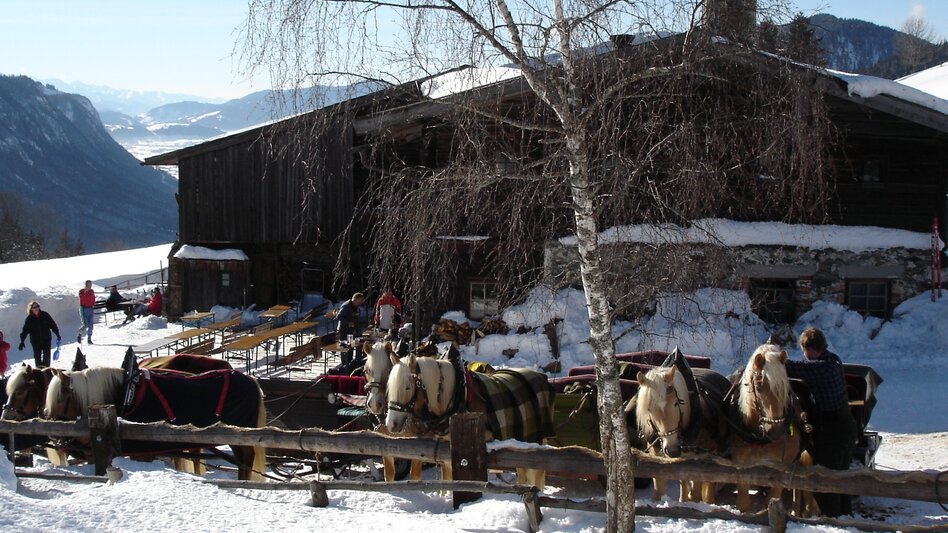 Horse Carriage Ride Sleigh ride Oberhorner-Halseralm - Touren-Impression #2.4 | © TVB Schladming