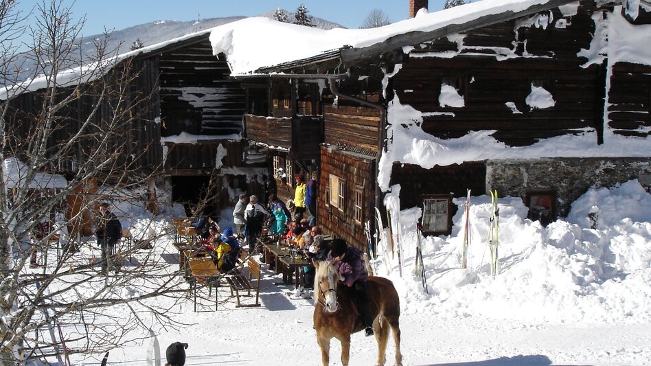 Horse Carriage Ride Sleigh ride Oberhorner-Halseralm - Touren-Impression #2.5 | © TVB Schladming