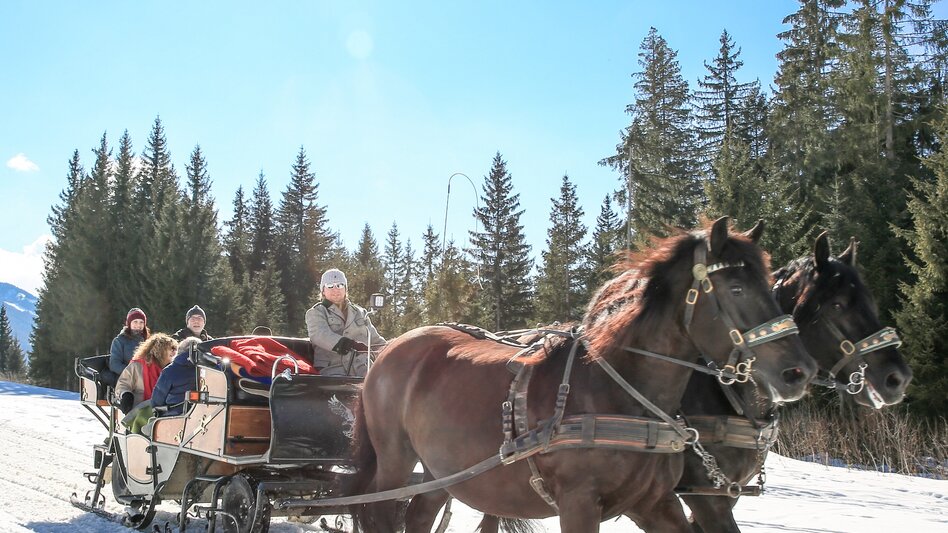 Pferdeschlitten Pferdeschlittentour Oberhorner-Vorberg - Touren-Impression #2.2 | © TVB Schladming