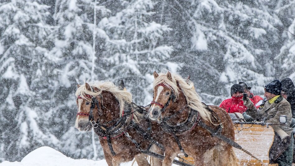 Pferdeschlitten Pferdeschlittentour Oberhorner-Vorberg - Touren-Impression #2.3 | © TVB Schladming