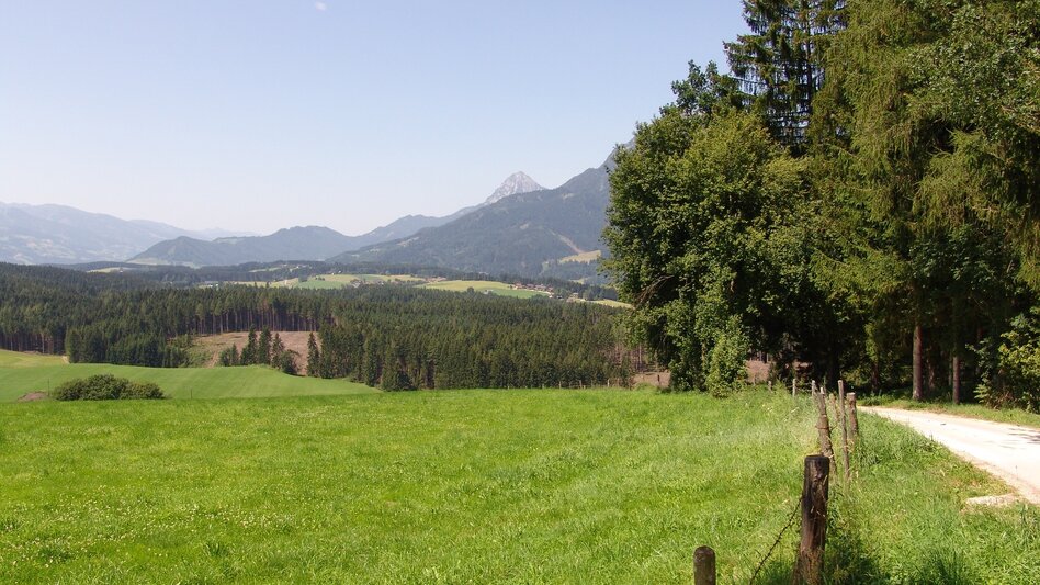 Nordic Walking Movement Arena - Gersdorferrunde - Touren-Impression #2.1 | © Erlebnisregion Schladming-Dachstein