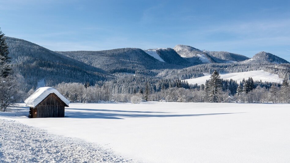 Winter Hiking Tour de Kur - Winter pure - Touren-Impression #2.2 | © TVB Ausseerland - Salzkammergut/T. Lamm