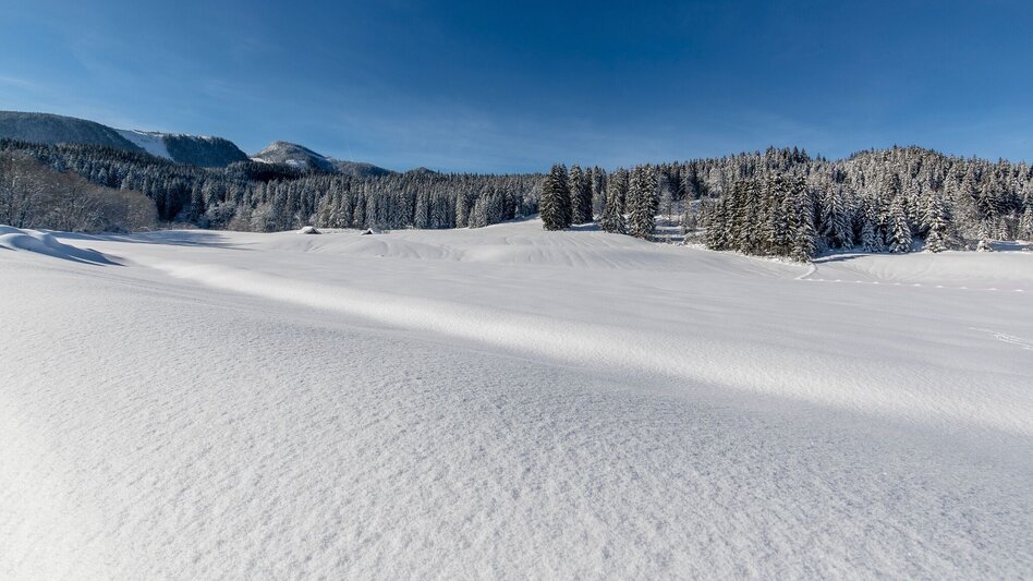 Winter Hiking Tour de Kur - Winter pure - Touren-Impression #2.4 | © TVB Ausseerland - Salzkammergut/T. Lamm