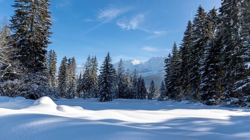 Winter Hiking Tour de Kur - Winter pure - Touren-Impression #2.5 | © TVB Ausseerland - Salzkammergut/T. Lamm