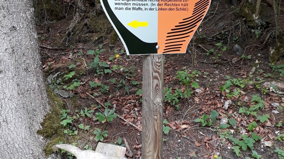 Hiking route Archaeology trail at Luserwasserfall - Touren-Impression #2.3 | © TVB Haus-Aich-Gössenberg